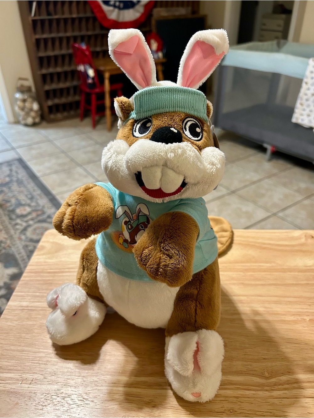 Plush Brown Bunny-Eared Groundhog Stuffed Animal - Aqua Shirt